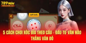 Cách Chơi Xóc Đĩa