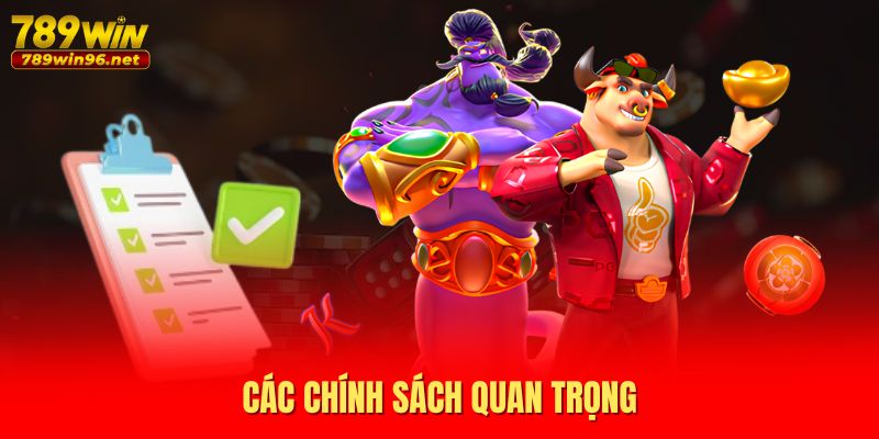 Các chính sách quan trọng