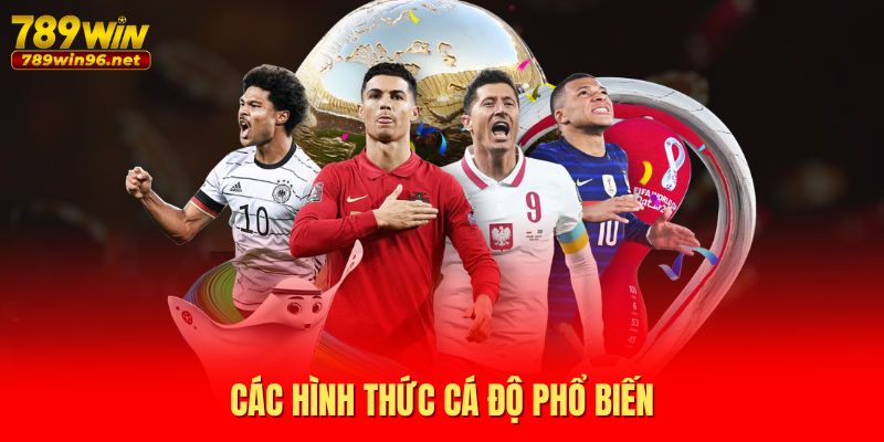 Các hình thức cá độ phổ biến