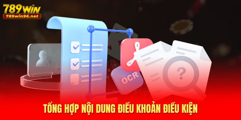 Tổng hợp nội dung điều khoản điều kiện